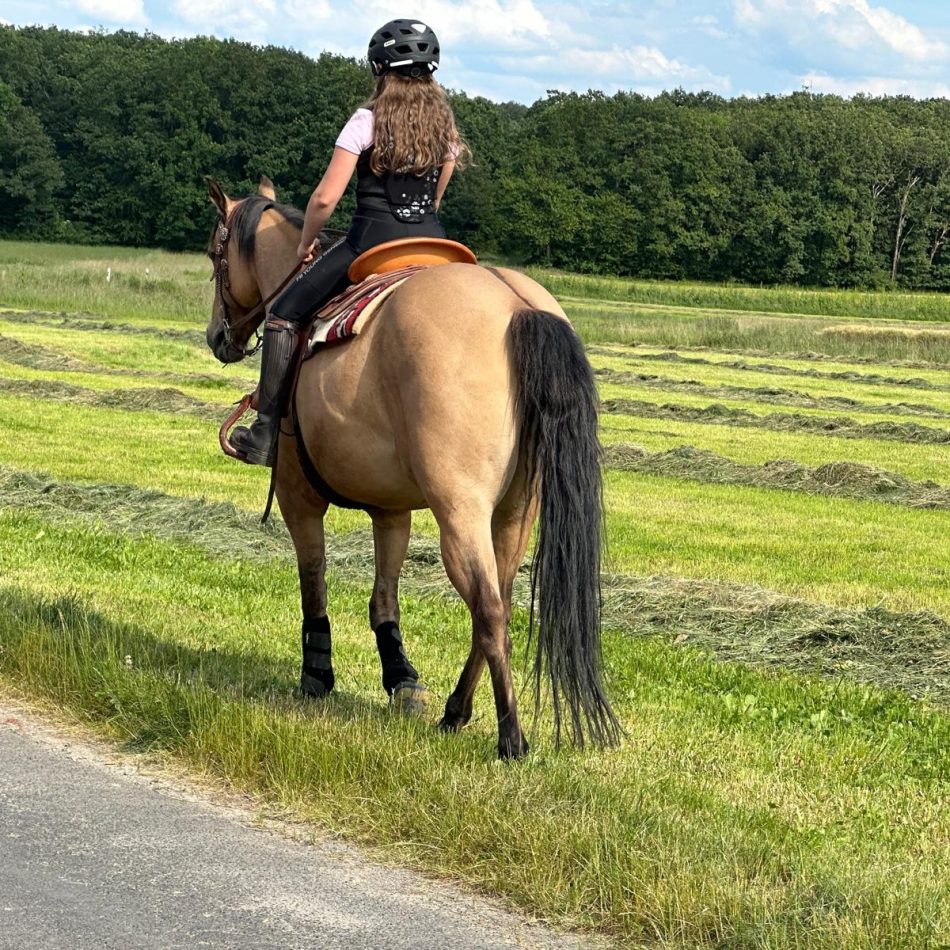 Reitunterricht Western & Englisch