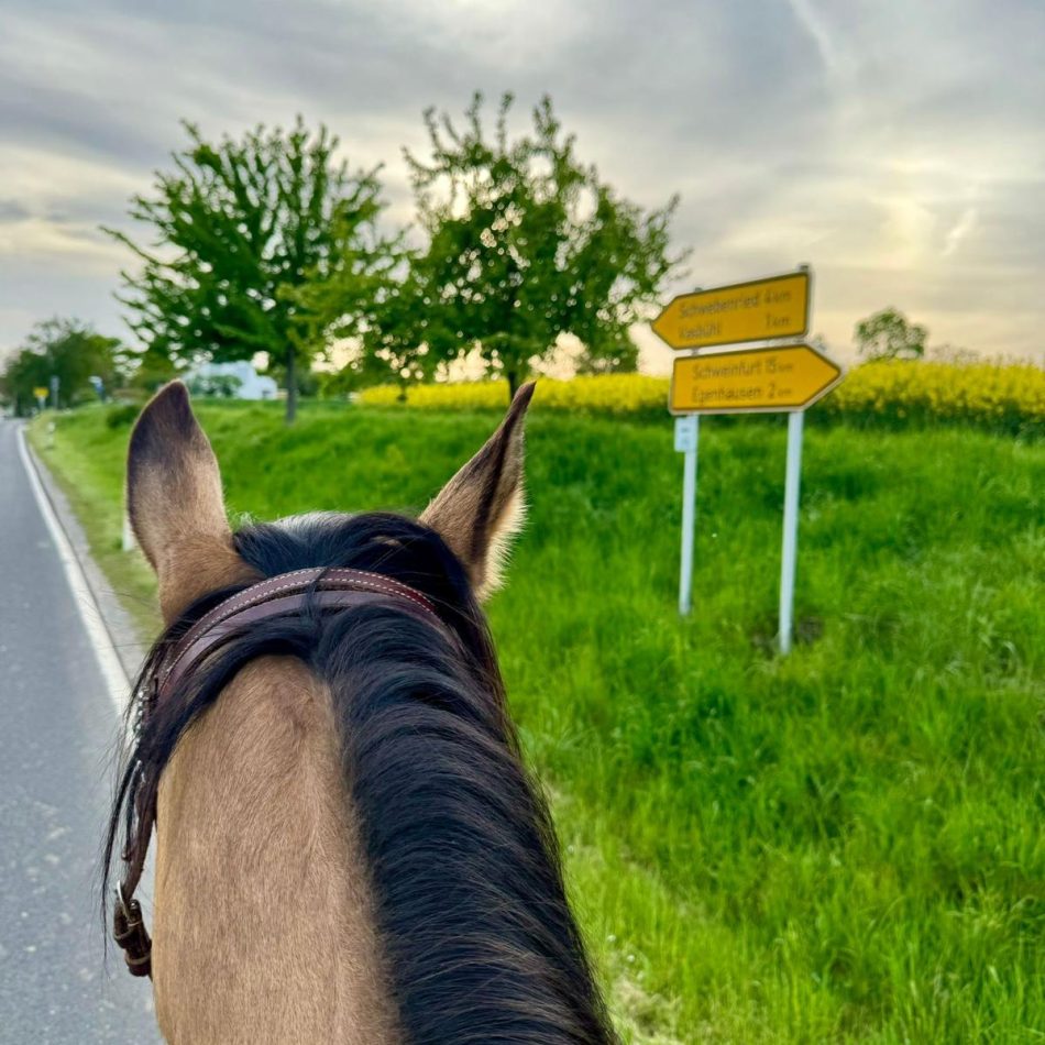 WhatsApp Image 2025-03-13 at 15.51.58